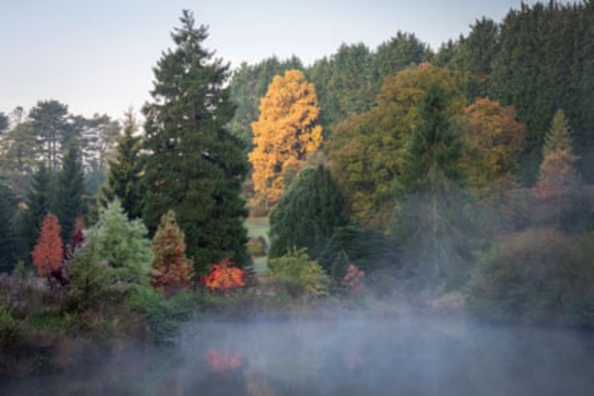 England Invites Citizens to Track Autumn's Colorful Arrival - Image 5