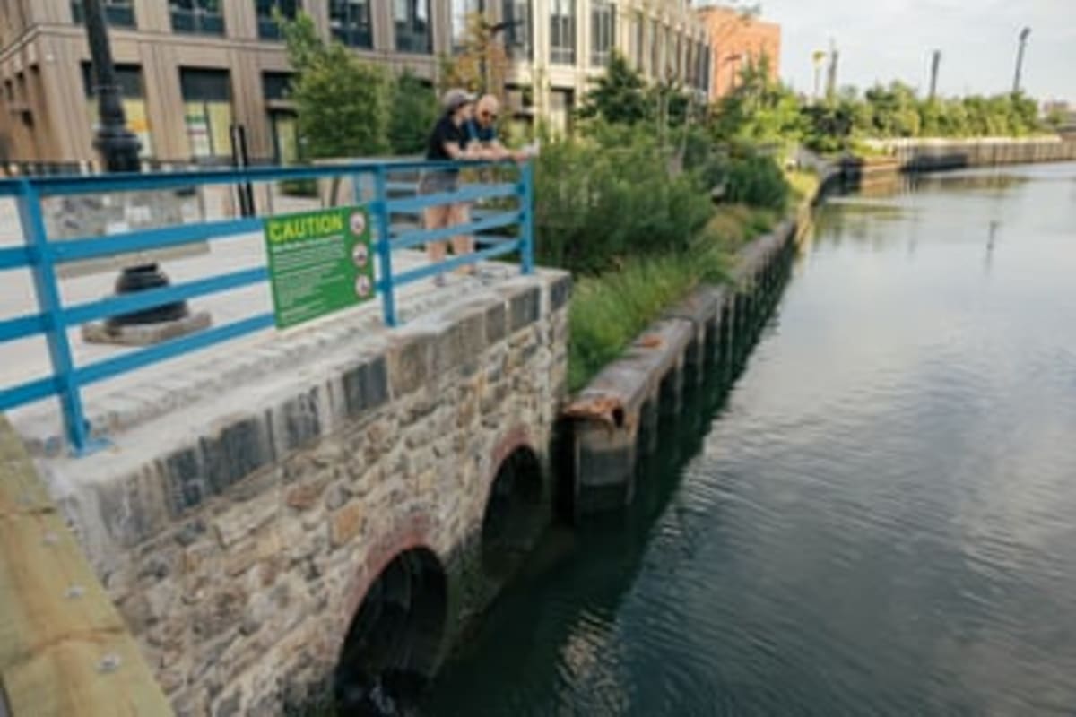 Brooklyn's Toxic Gowanus Canal Gets Green Transformation - Image 5