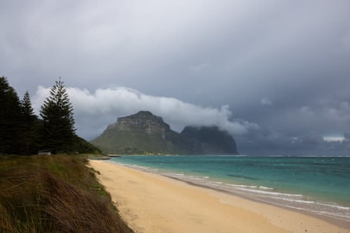 Island Removes Rats, 60% More Insects Return in 5 Years - Image 4