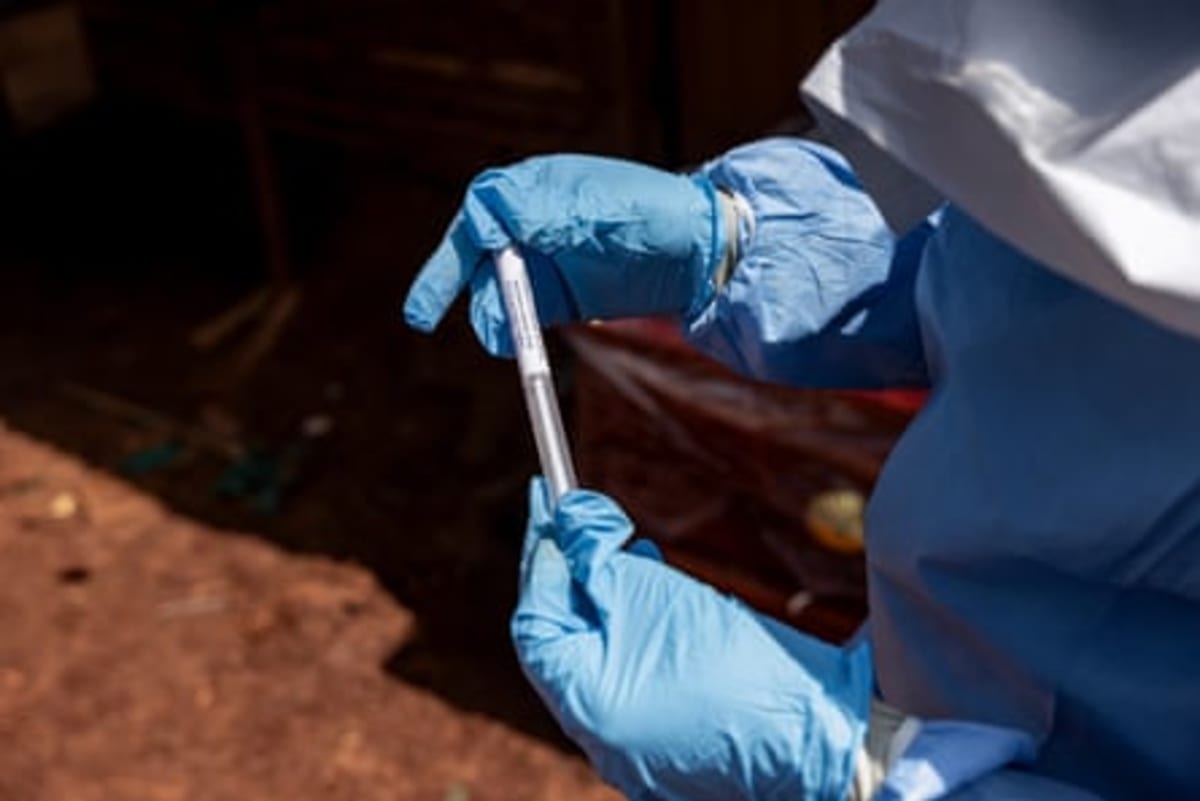 Scientists Race to Create Vaccine for New Ebola Strain - Image 4