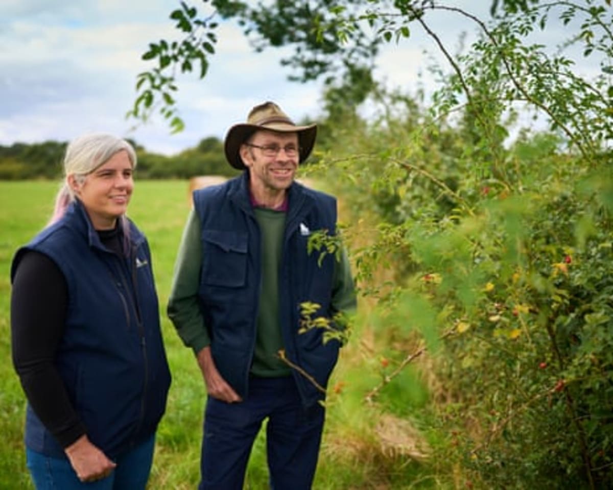 England Farmers Revive Ancient Hedge Craft to Fight Climate - Image 3