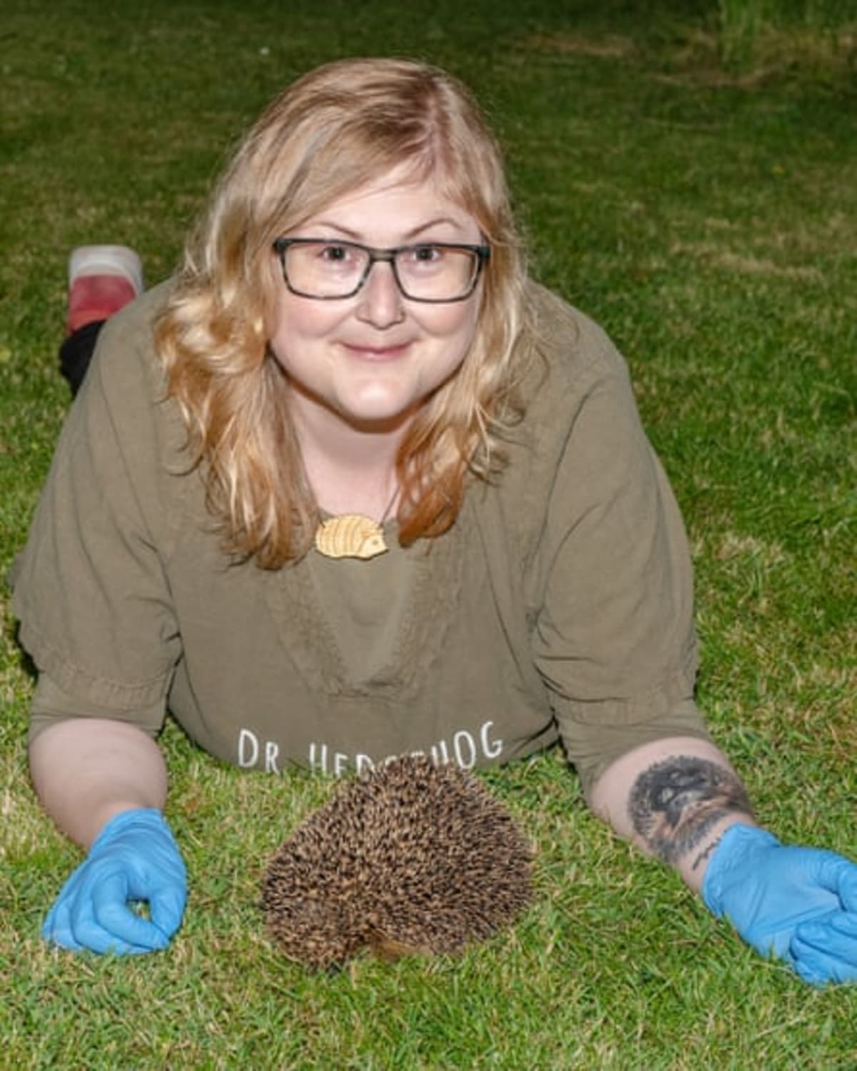 Hedgehogs Hear Ultrasound, Could Save Them From Traffic - Image 4
