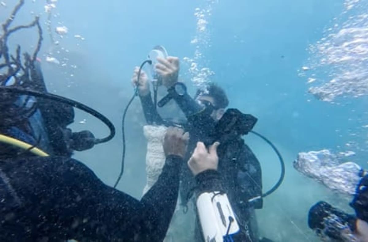 Underwater Speakers Bring Jamaica's Dying Reef Back to Life - Image 3