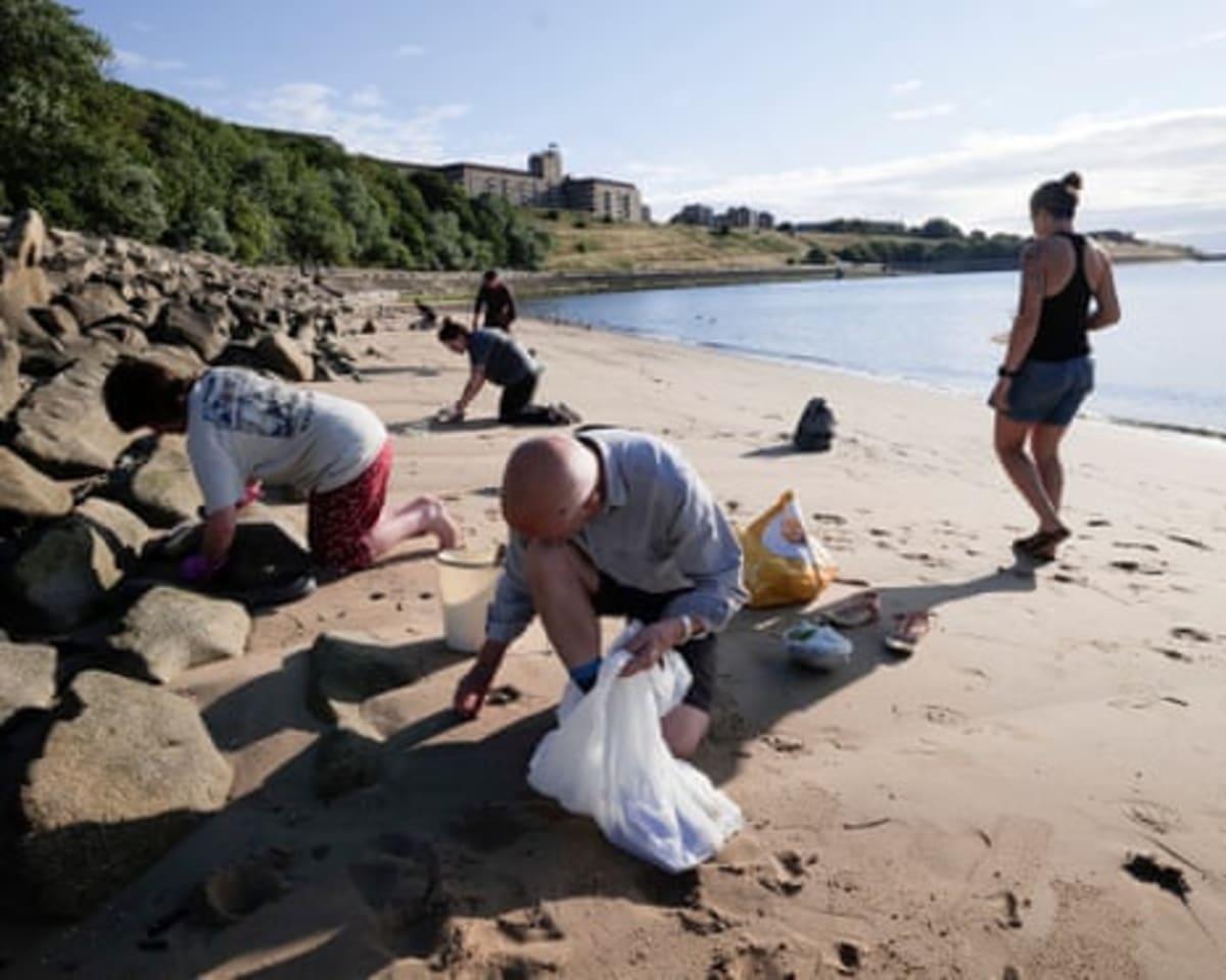 2,000 Volunteers Rally to Save Northeast England Beaches - Image 3