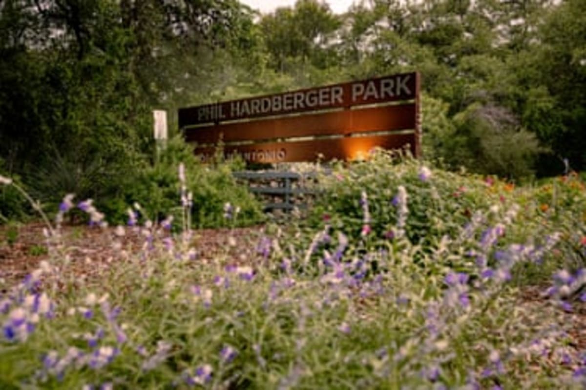San Antonio's Wildlife Bridge Reunites a Split Ecosystem - Image 3