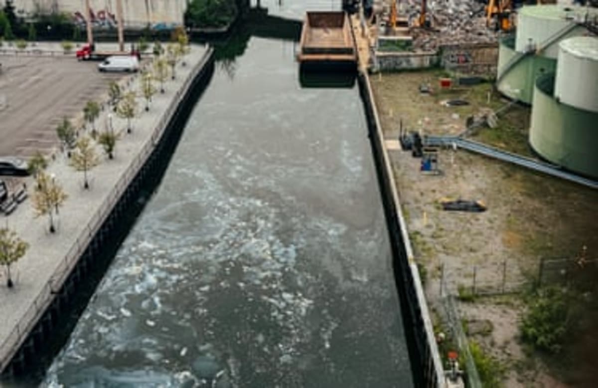 Brooklyn's Toxic Gowanus Canal Gets Green Transformation - Image 4