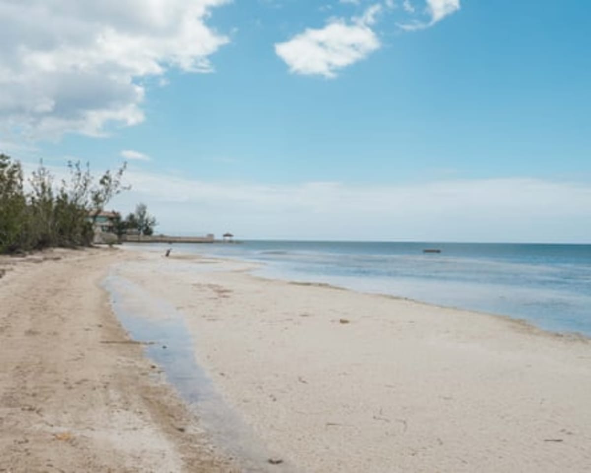 Jamaicans Win Court Battle to Reclaim Public Beaches - Image 5