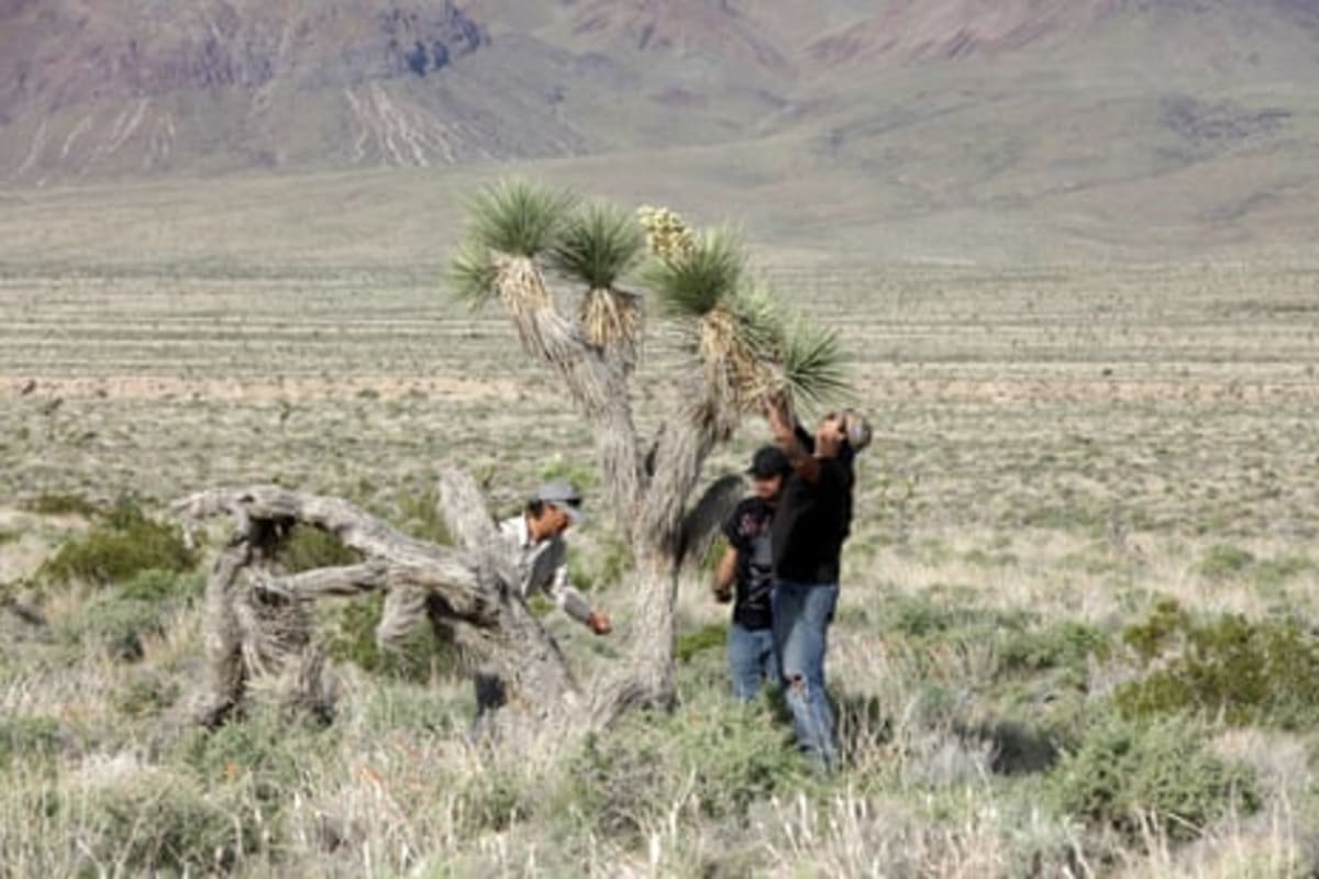 California Town Unites to Protect Sacred Desert Land - Image 3