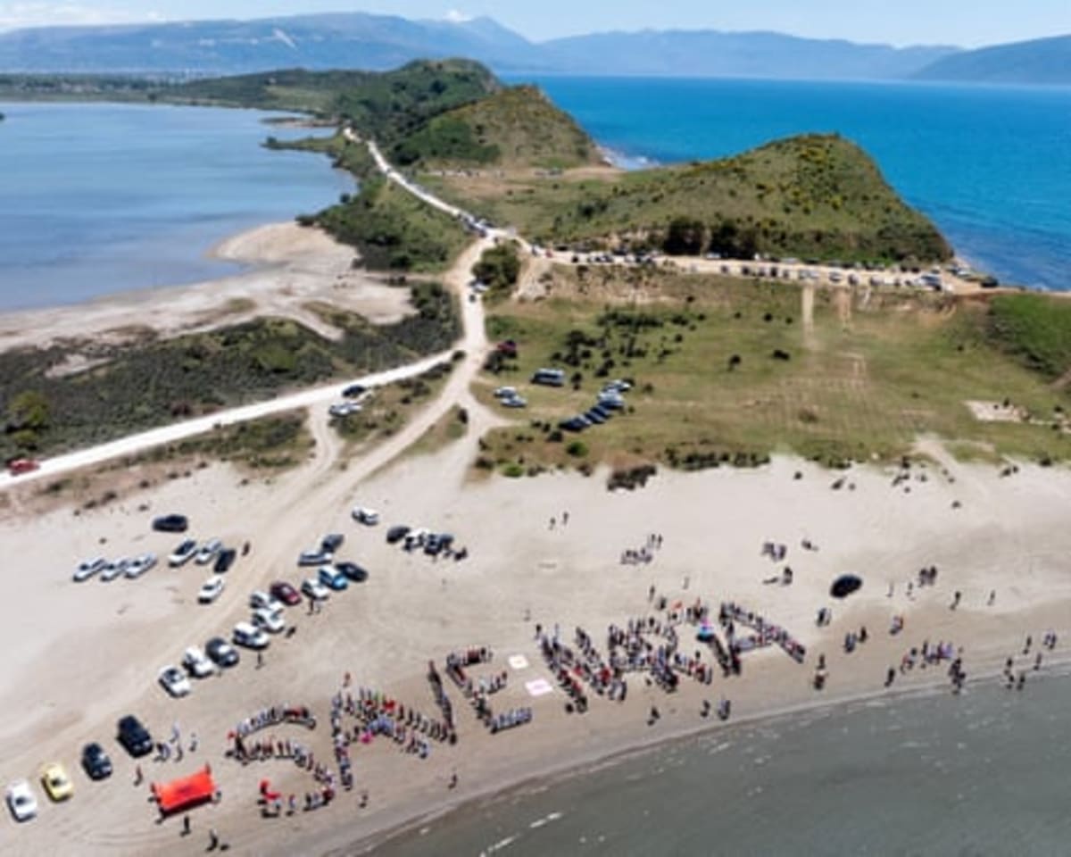 Albania Protests Win Fight to Protect Wetland Wildlife - Image 3