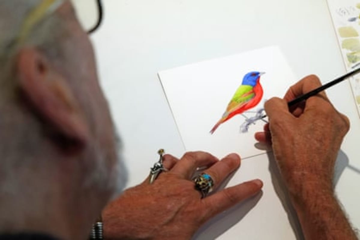 Artist Paints 1,000 Birds for App That Wants You Outside - Image 3
