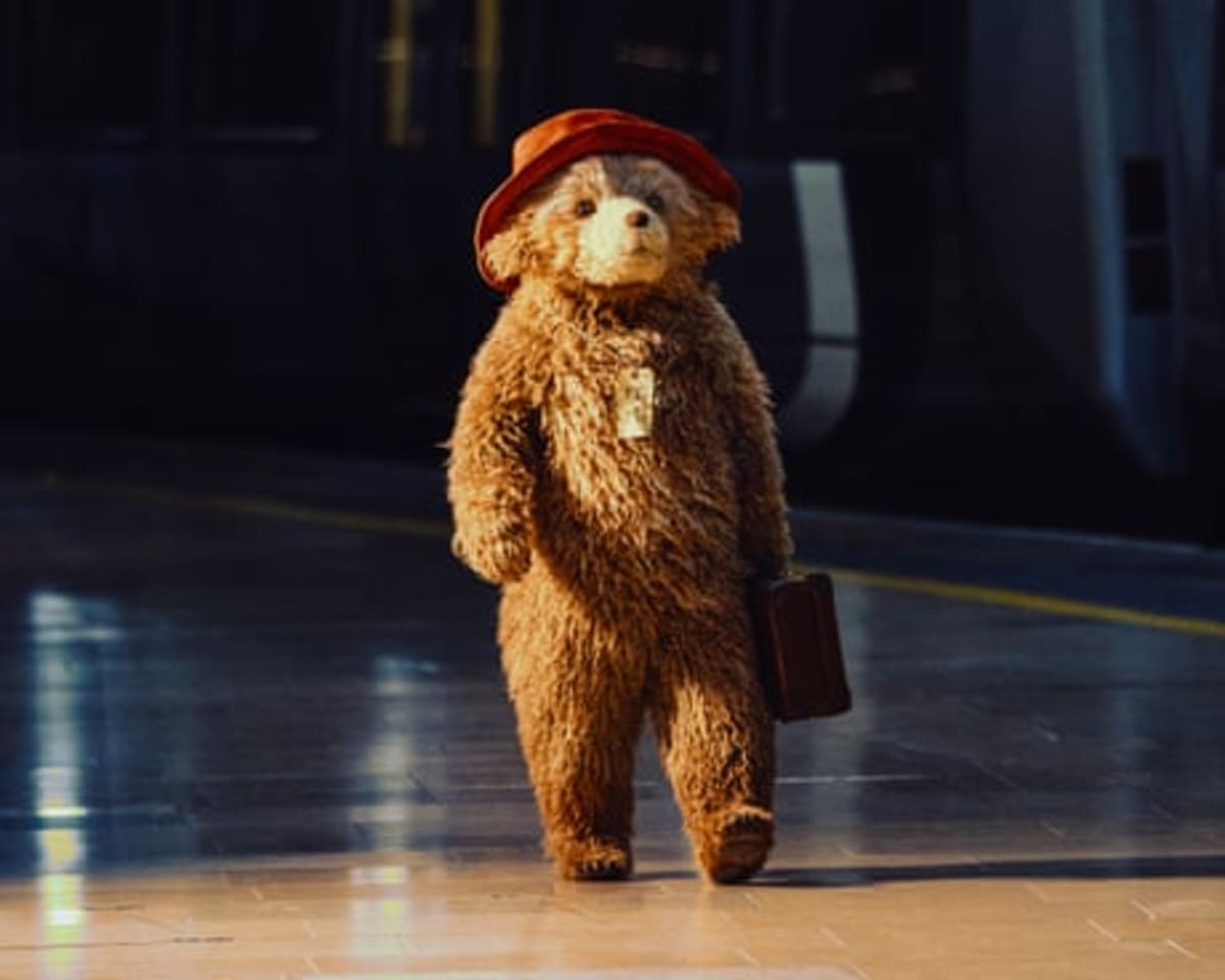 Award-Winning Paddington Musical Heads to Broadway - Image 4