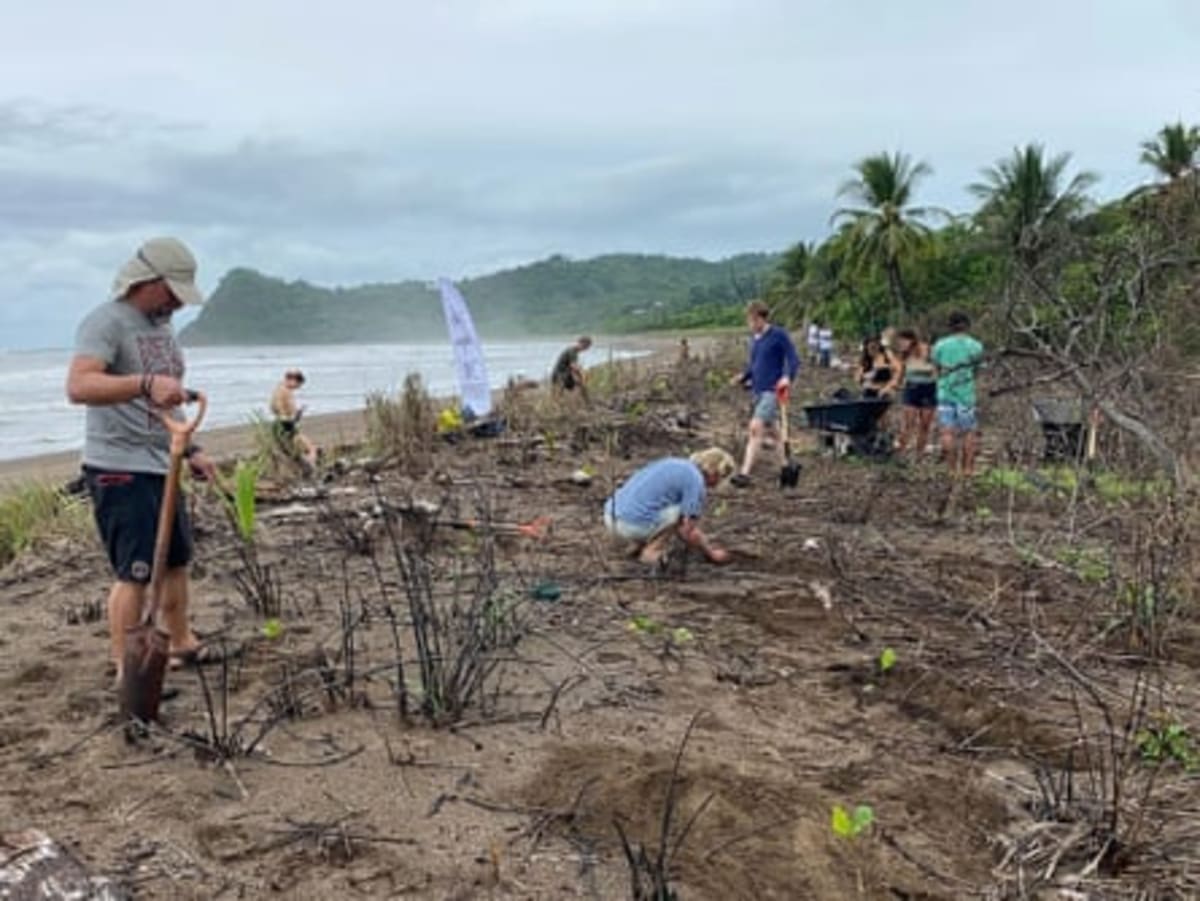 Surfer Plants 100,000 Trees, Transforms 34 Costa Rica Beaches - Image 5