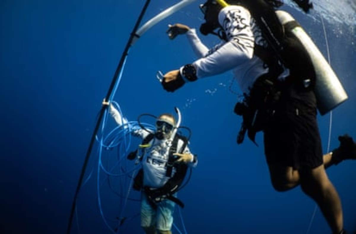 Sperm Whales Change How They Talk When Ships Are Near - Image 5