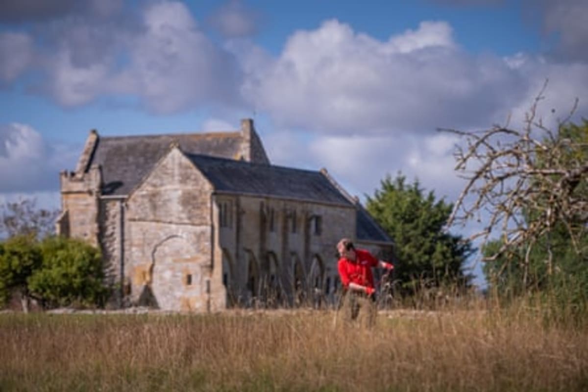 English Heritage Trains Scythe Team to Save Rare Bees - Image 4