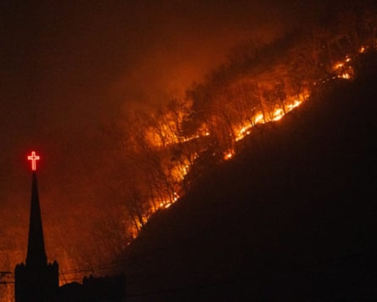 Global Wildfire Area Drops to Near-Record Low in 2025 - Image 5
