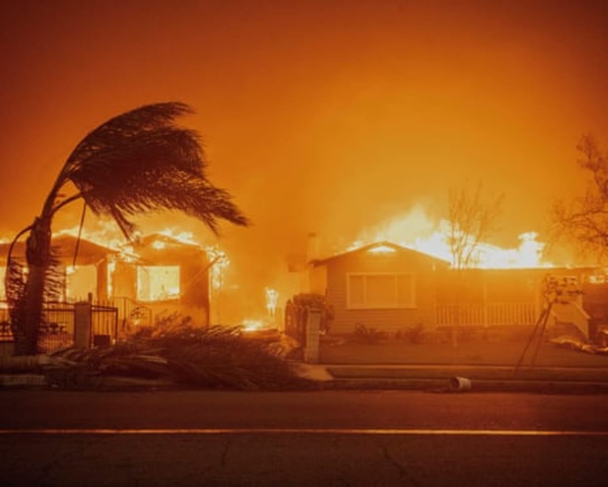 Global Wildfire Area Drops to Near-Record Low in 2025 - Image 3