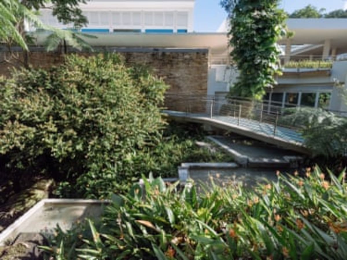 Puerto Rico Rainforest Center Rebuilt for Future Disasters - Image 5