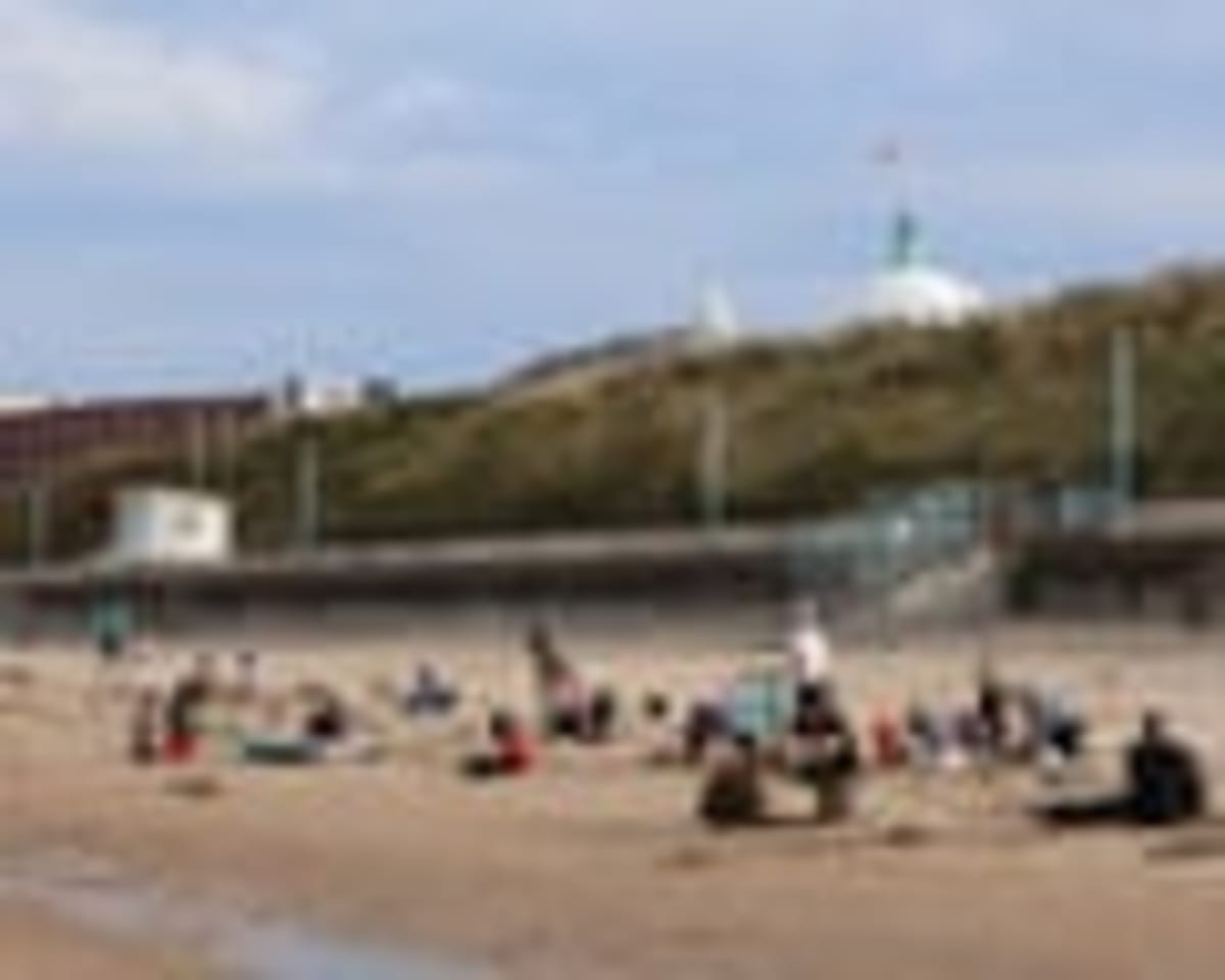 2,000 Volunteers Rally to Save Northeast England Beaches - Image 5