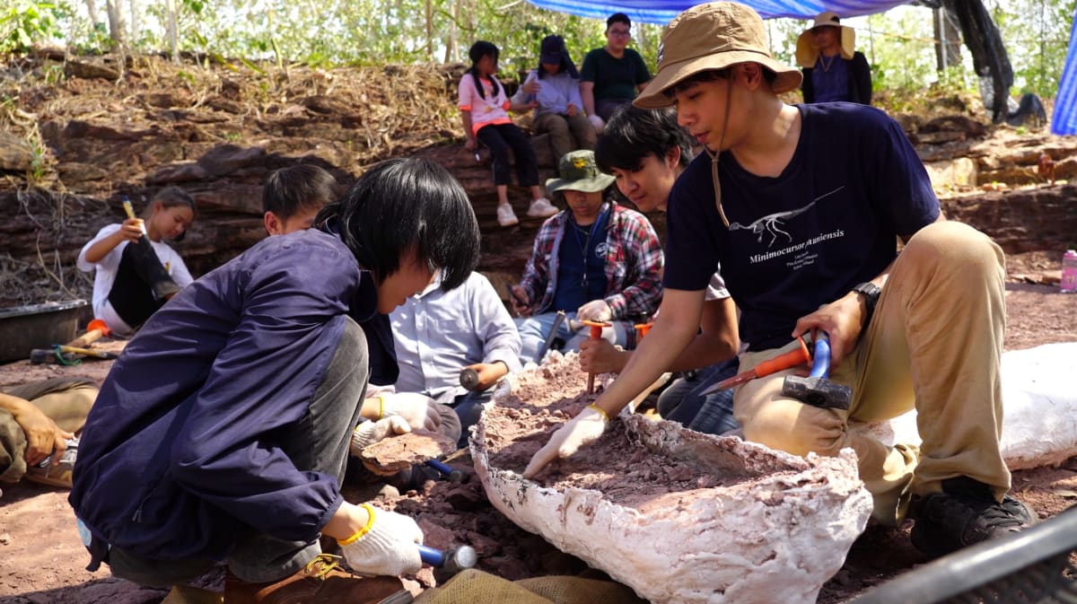 Thailand's 88-Foot Dinosaur Solves Ancient Climate Mystery - Image 3
