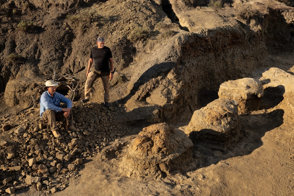 Teacher Finds First-Ever Adult T. Rex Footprint Trail - Image 5
