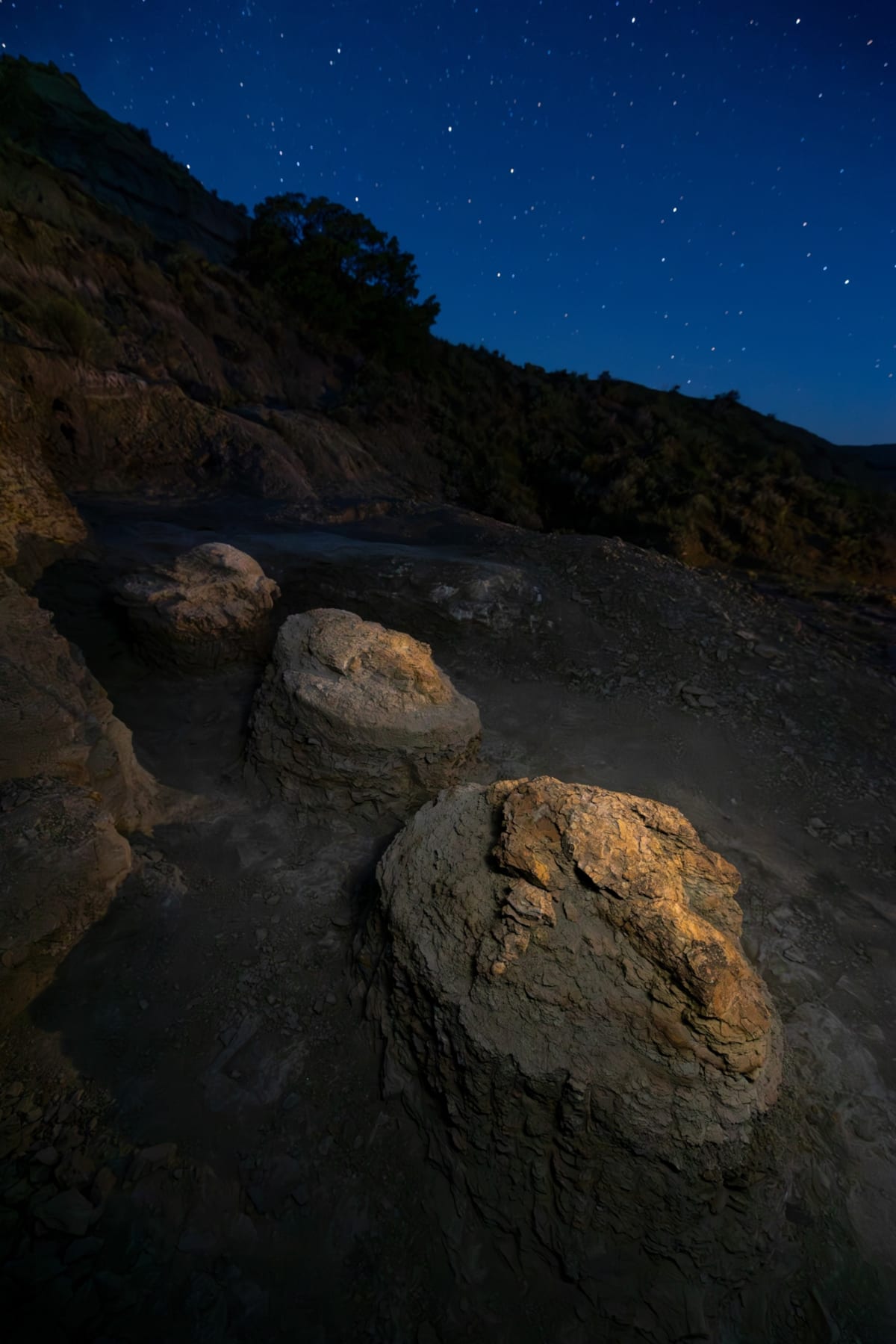 Teacher Finds First-Ever Adult T. Rex Footprint Trail - Image 2