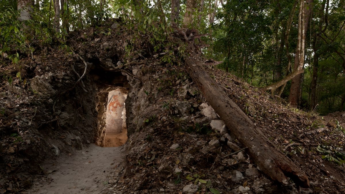 Ancient Maya hieroglyphs on deteriorated wall showing astronomical calculations and name of scientist