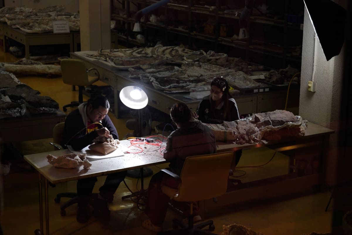 Thailand's 88-Foot Dinosaur Solves Ancient Climate Mystery - Image 5