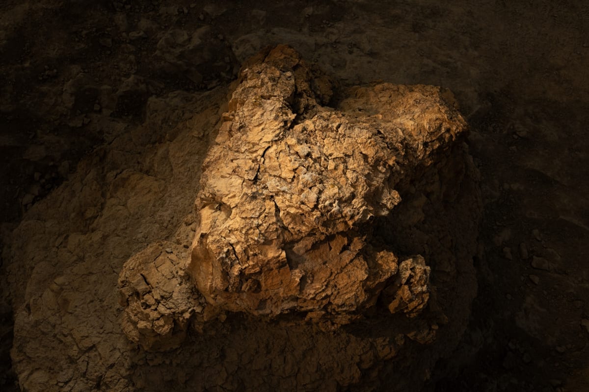Teacher Finds First-Ever Adult T. Rex Footprint Trail - Image 3
