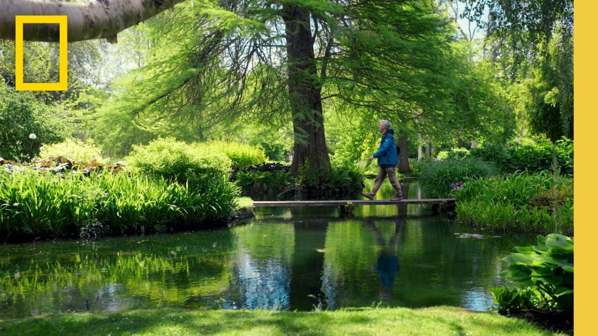 UK Supermarket's 2,800-Acre Farm Restores Soil Health