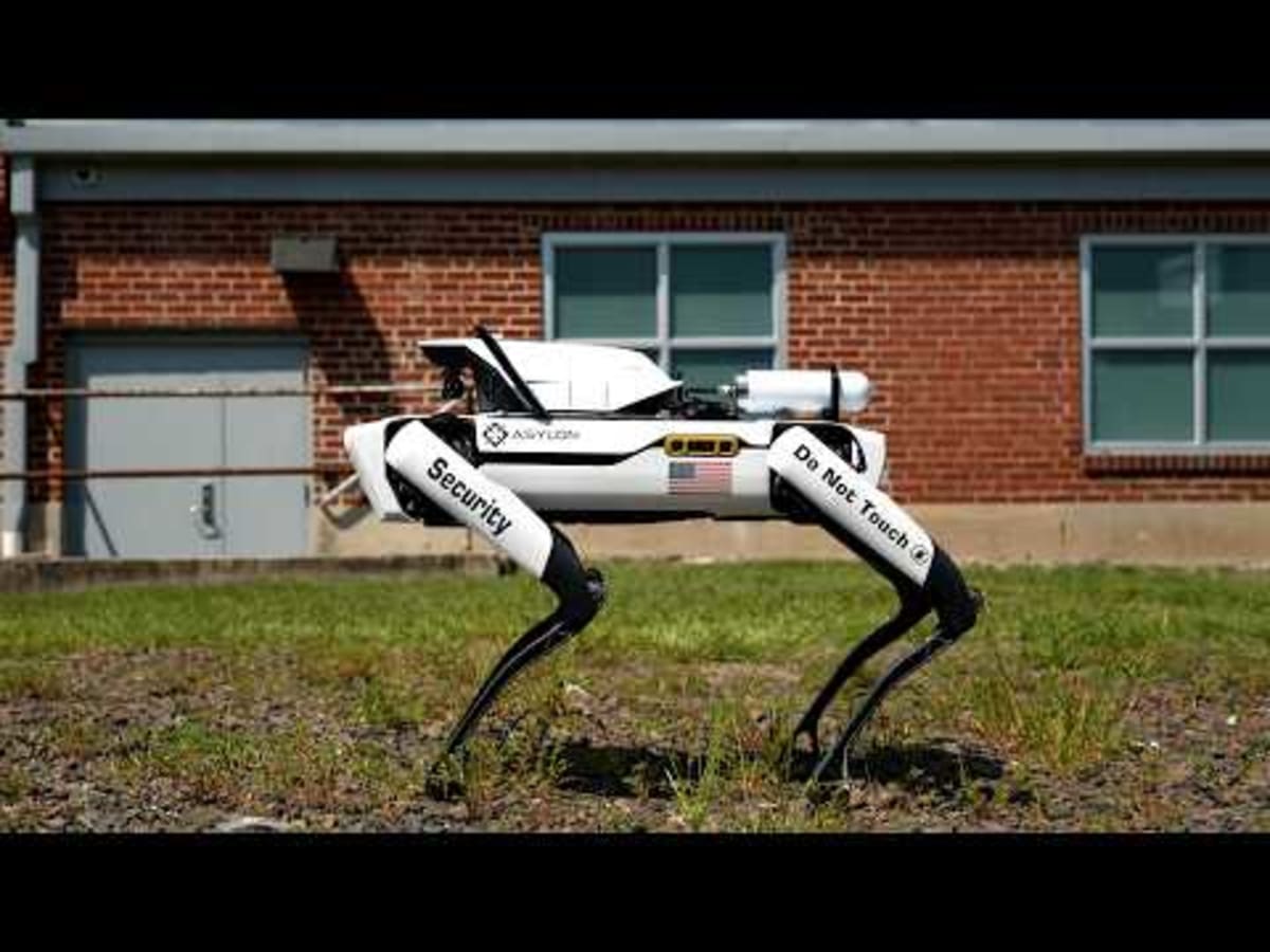 Bayer Uses Robot Dogs to Guard Hawaiian Corn Farm 24/7 - Image 3