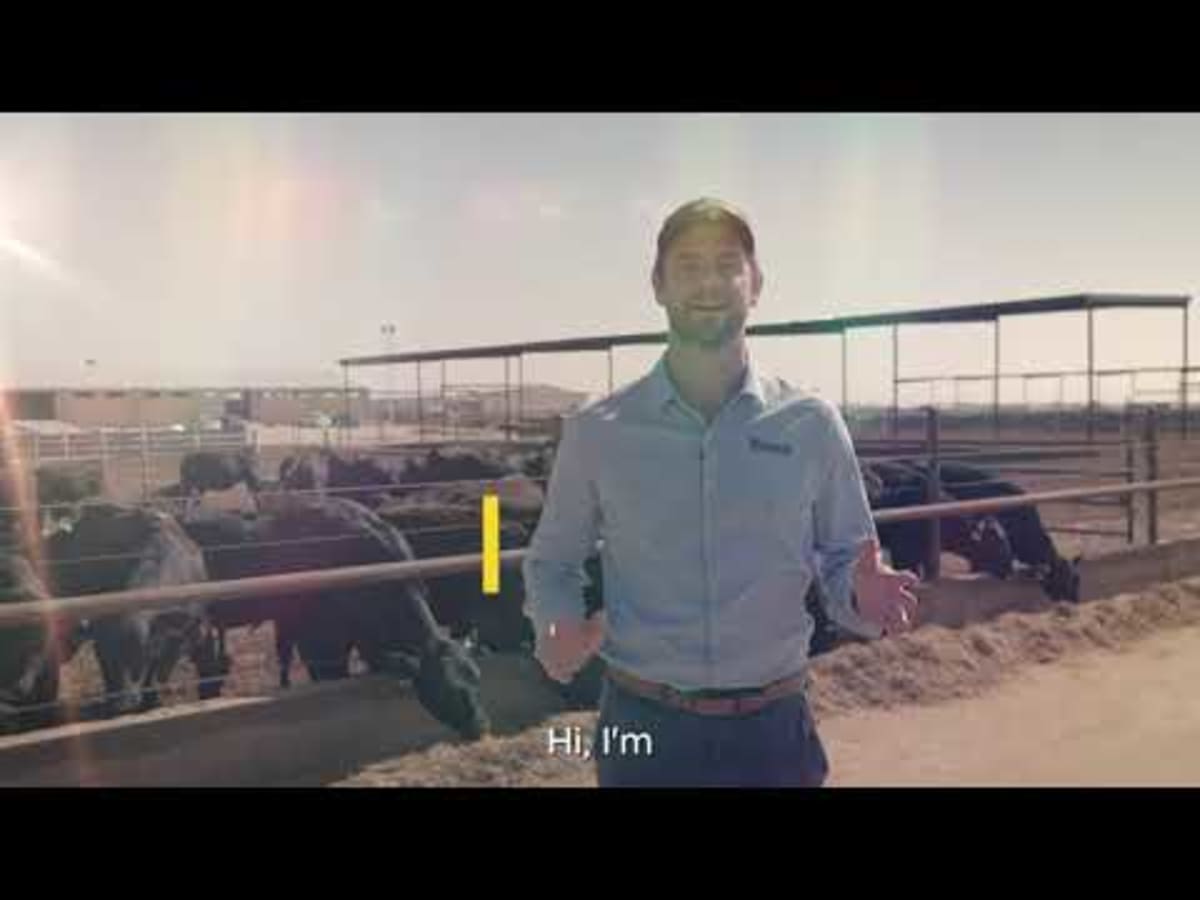 AI Cattle Platform Cuts Emissions, Raises $27M - Image 3