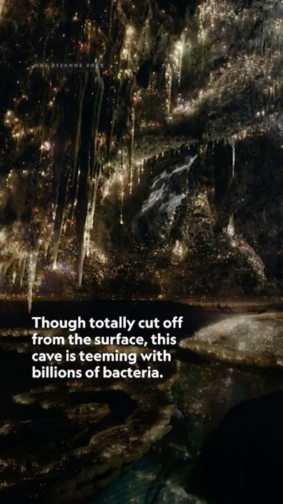Dark limestone cave formations covered in bacterial colonies deep underground in New Mexico
