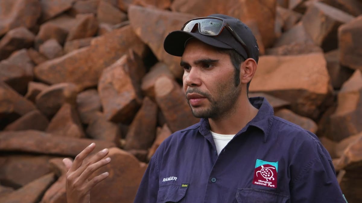 Ancient Australian Rock Art Safe Despite Industrial Past - Image 4