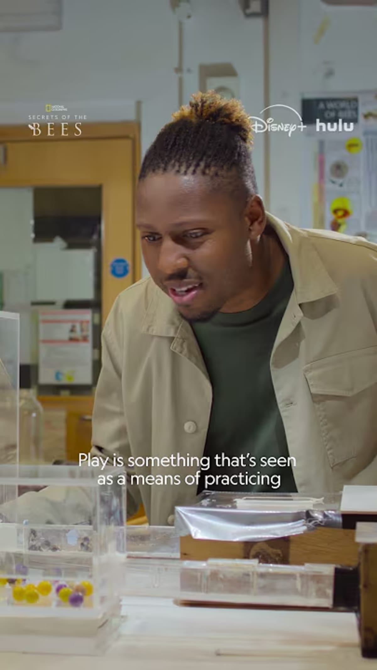 Scientists Discover Bumblebees Love to Play