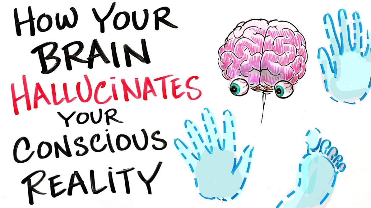Scientist Says Your Brain Creates Reality Like a Dream