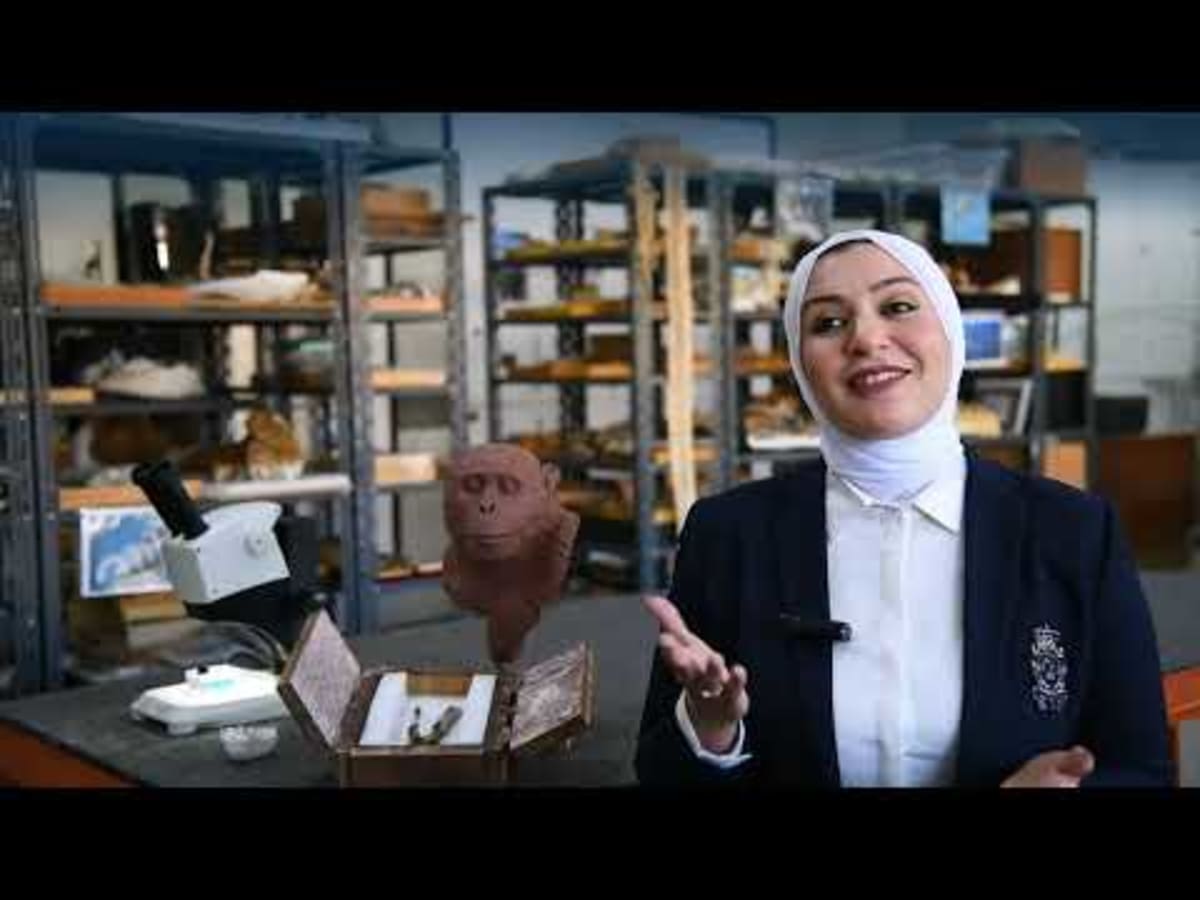 Ancient ape jaw fossil fragments from 18 million years ago discovered in northern Egypt