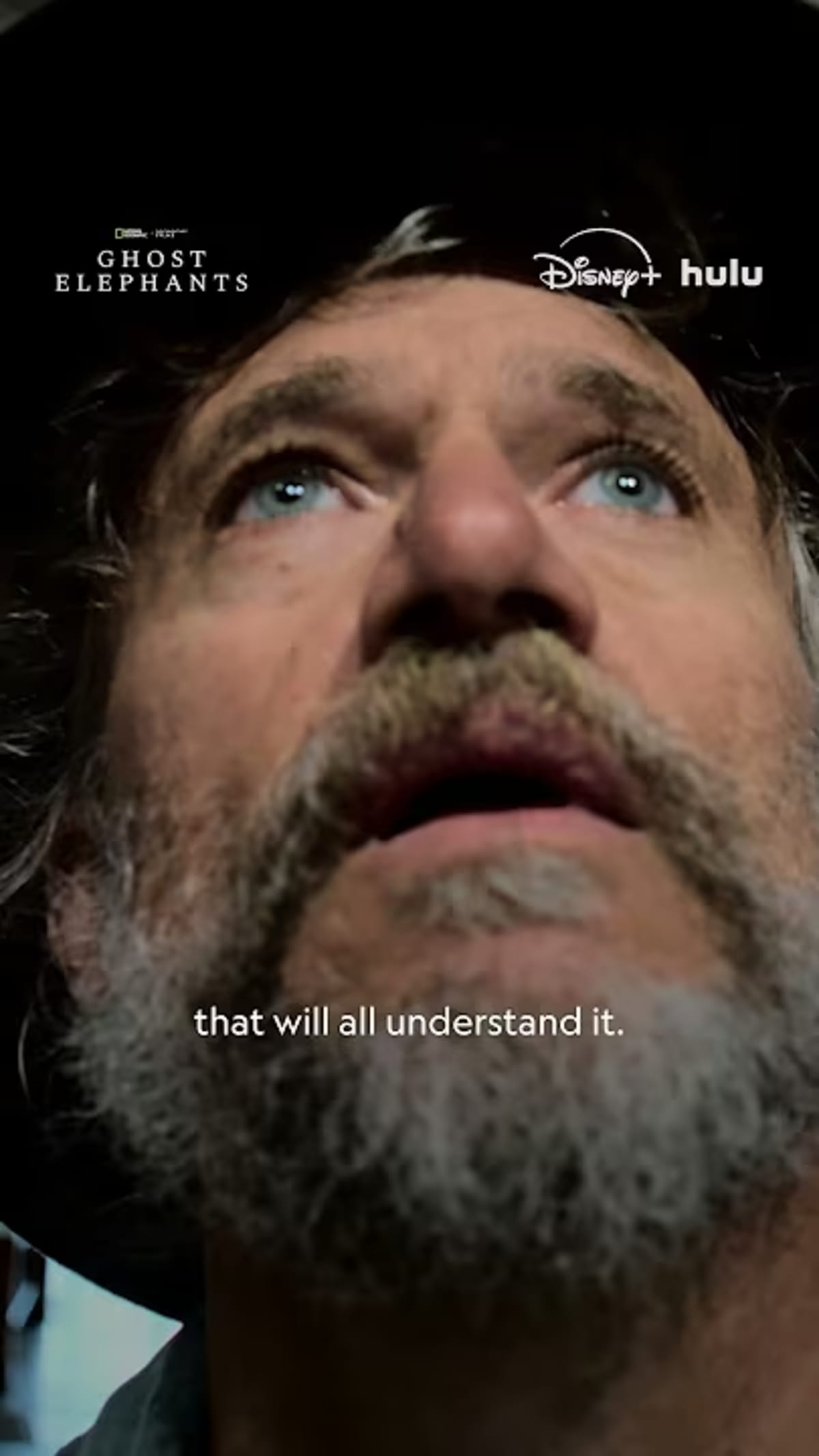 Werner Herzog Tracks Legendary 'Ghost Elephants' in Angola