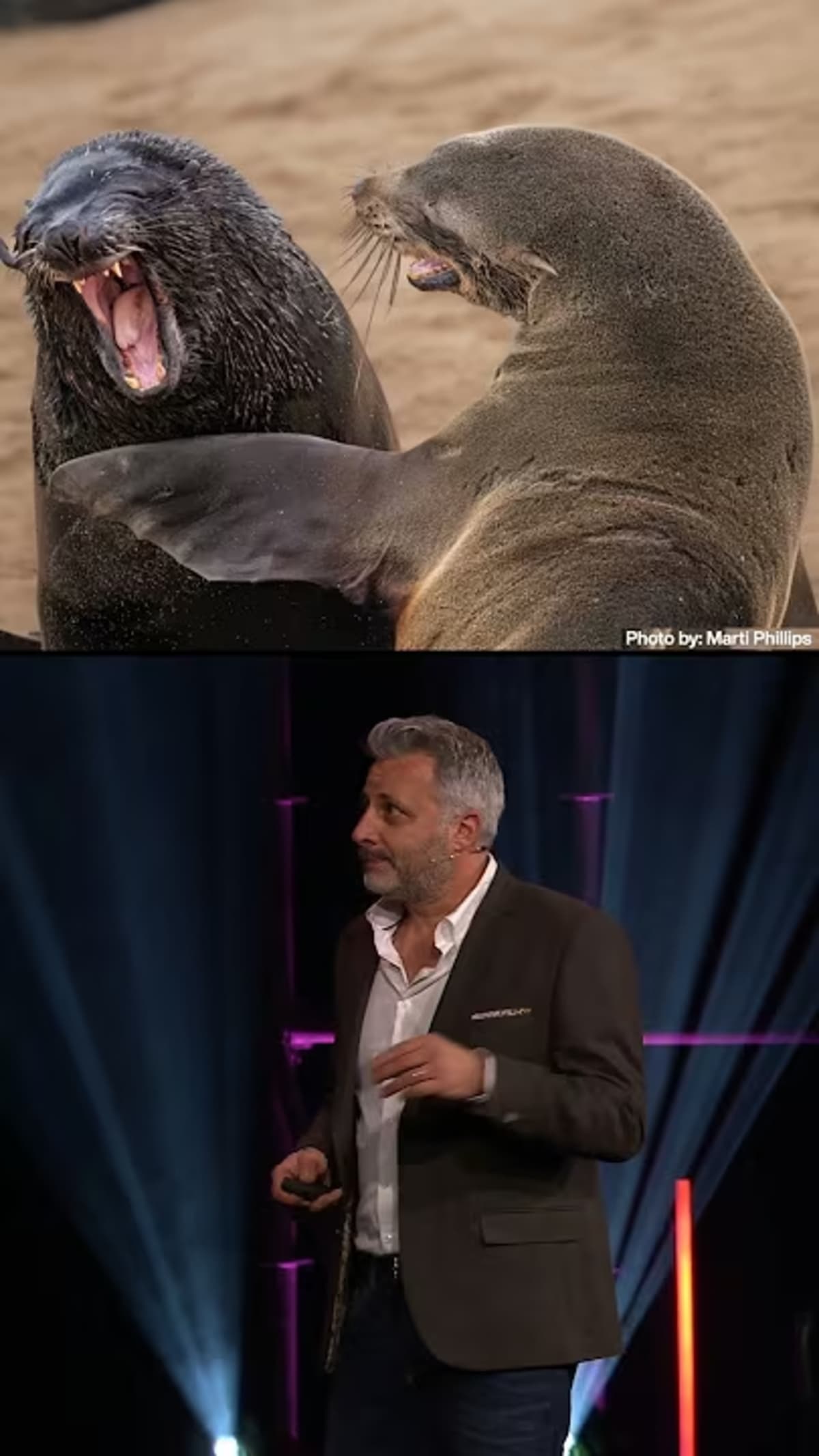 Wildlife photographer Tom Sullam presenting funny animal photos at TED talk stage