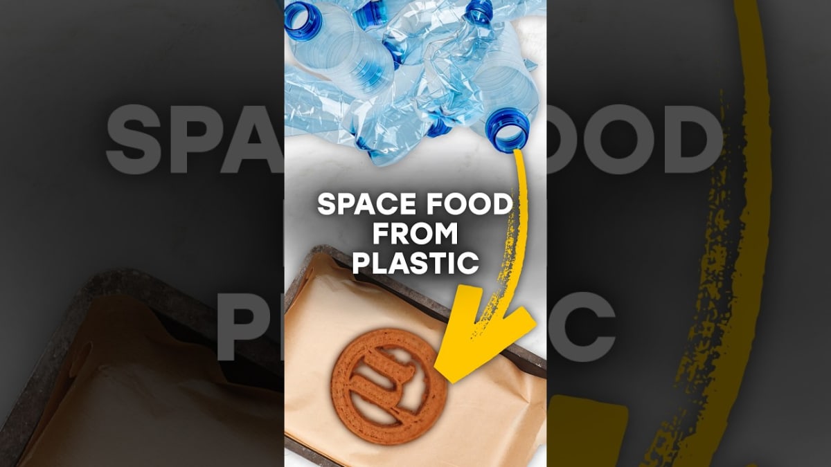 Scientists Turn Plastic Waste Into Edible Protein Cookies - Image 4