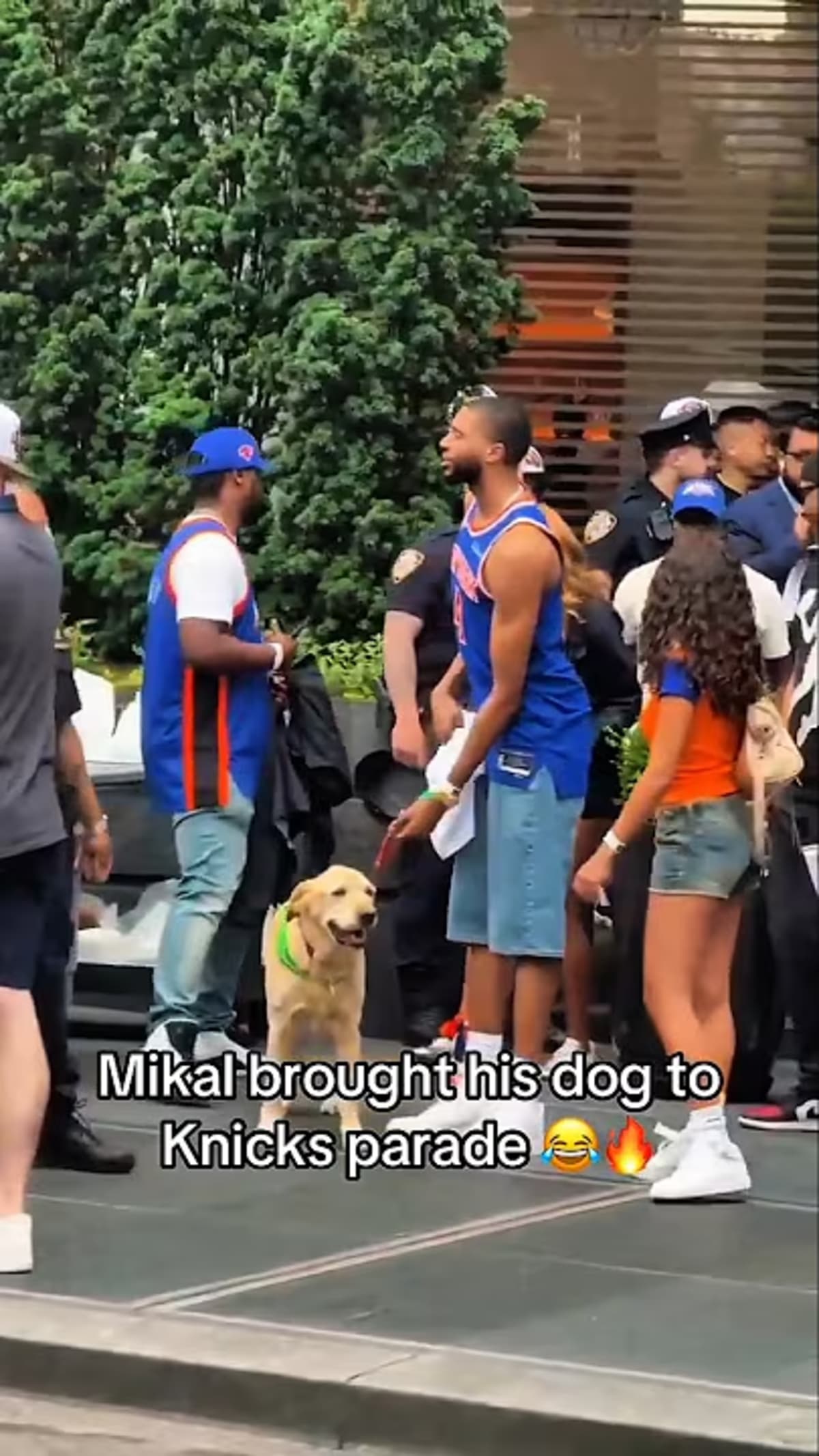 ** Mikal Bridges holding his dog during the New York Knicks championship parade celebration