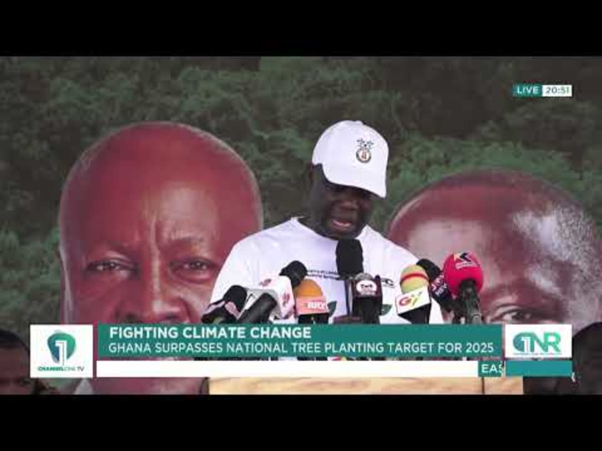 Ghana Plants 31 Million Trees, Exceeds Green Goal - Image 2