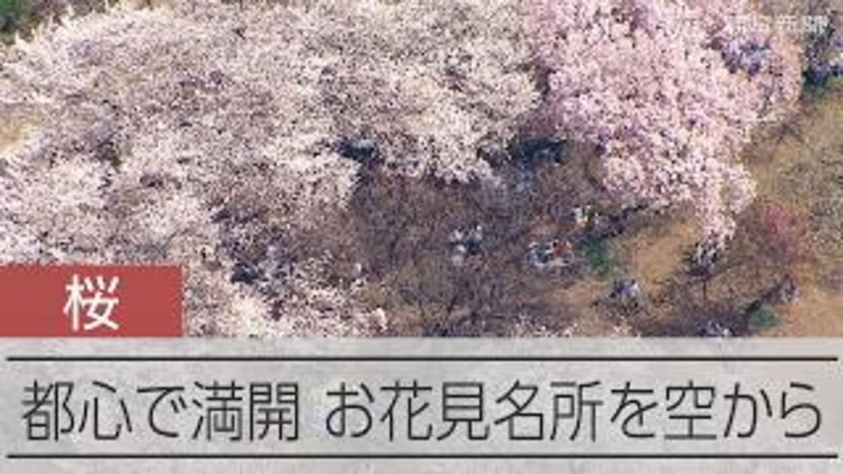 Japanese Pharma Brings New Medicine to Tanzanian Kids - Image 3