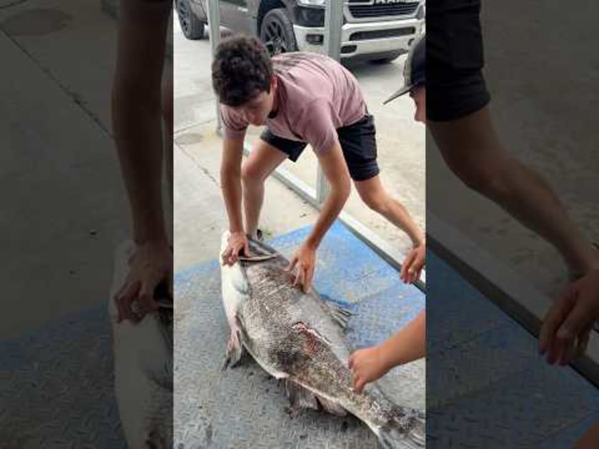 Kentucky Teen Bags World Record Fish With Broken Arrow