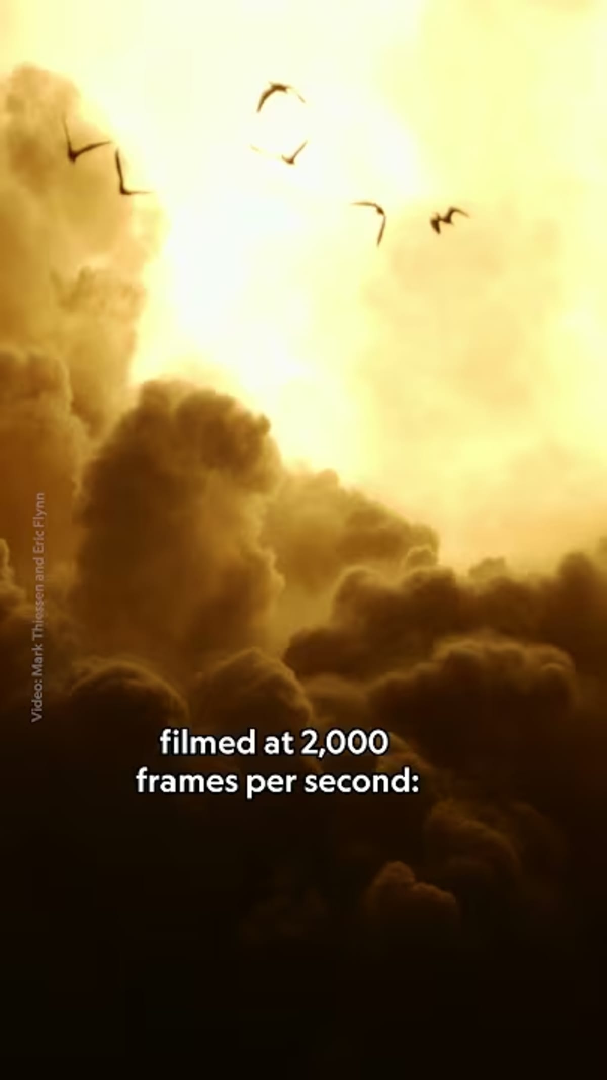 NASA's Artemis II Launch Captured at 2,000 Frames Per Second