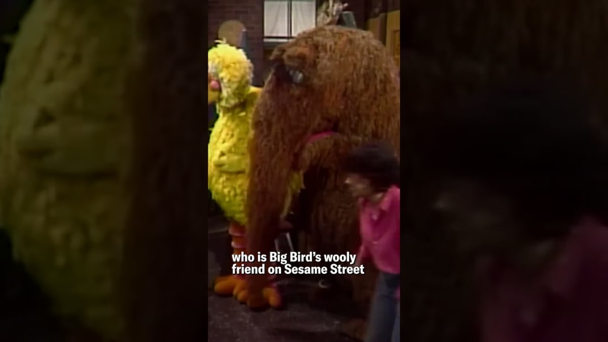 Scientists Find Fuzzy Fish Named After Sesame Street's Snuffy - Image 4