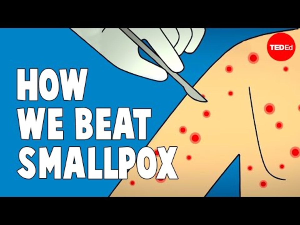 How We Erased Smallpox: The Only Disease Humanity Beat - Image 4
