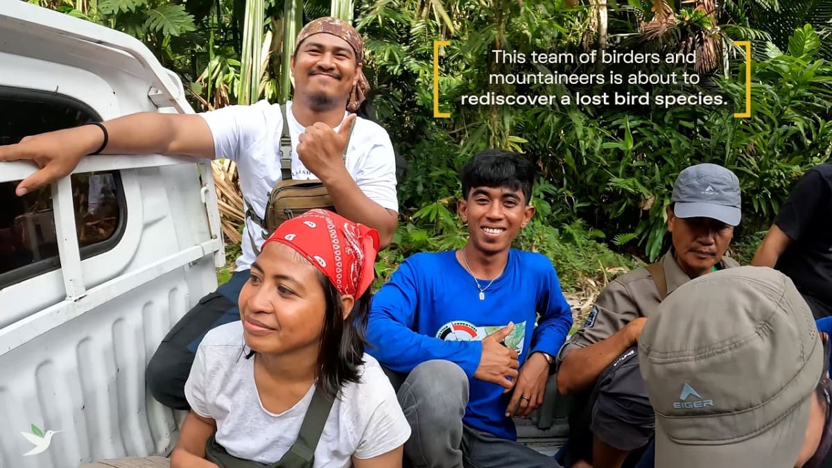 Lost Parrot Rediscovered After Century in Indonesian Forest - Image 5