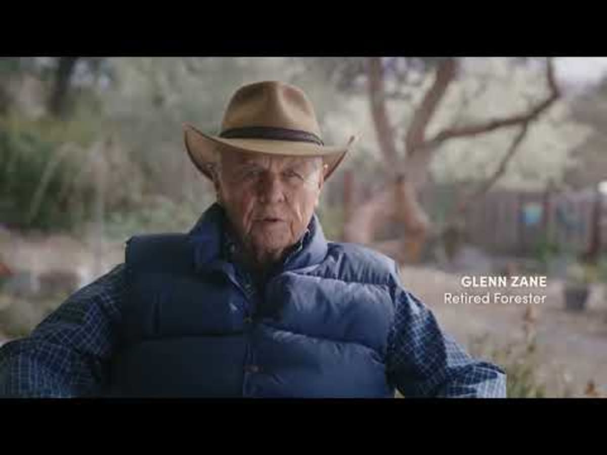 500 Million Trees Planted Since 1972 to Fight Climate - Image 3