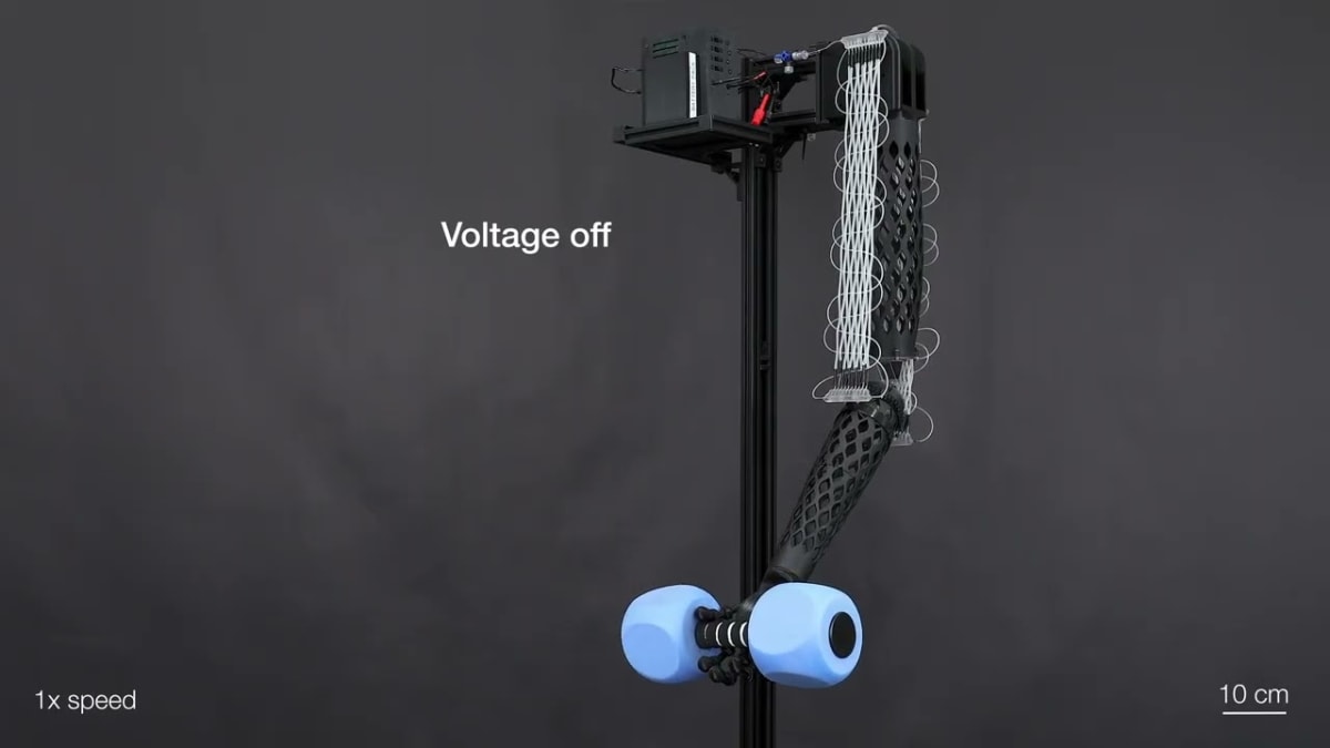 MIT Creates Artificial Muscles That Work Like Real Ones - Image 3