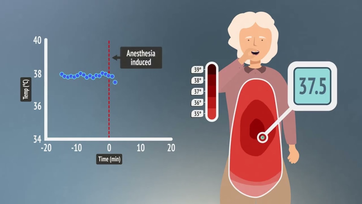 MIT's Tiny Sensor Tracks Body Temperature From Inside - Image 2